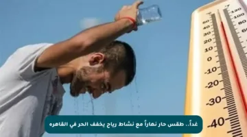 غداً.. طقس حار نهاراً مع نشاط رياح يخفف الحر في القاهرة